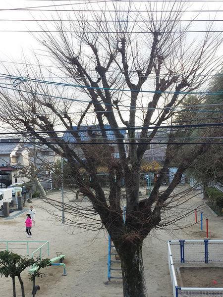 View photos from the dwelling unit