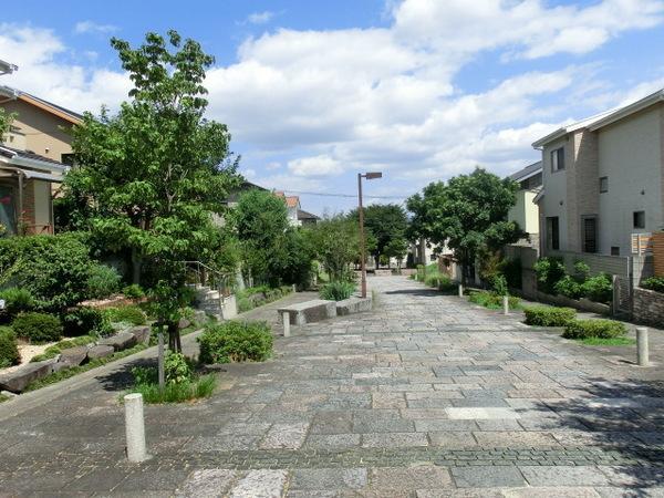 Local photos, including front road