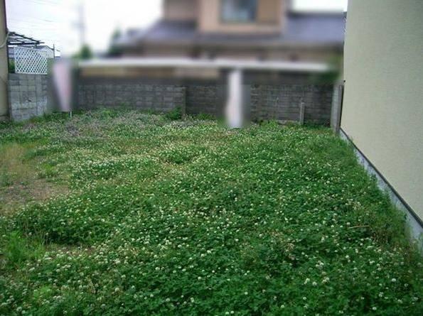 Local land photo. Local (March 2013) Shooting