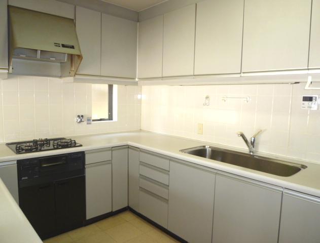 Kitchen. Indoor (11 May 2013) Shooting