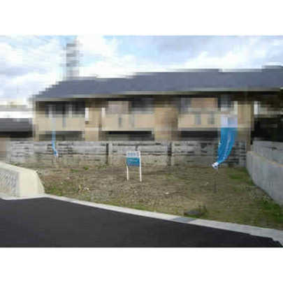 Local land photo. Appearance 1