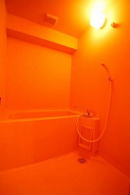 Bath. Bathroom