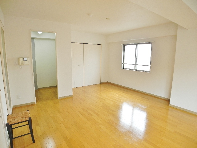 Living and room. Spacious living room 14 Pledge ☆