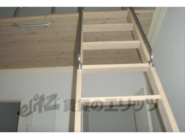 Other Equipment. Ladder