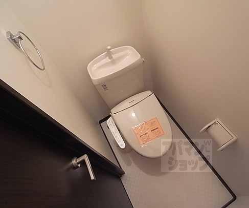 Toilet. The same series reference photograph