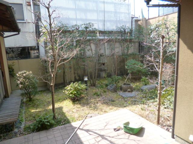 Garden. Local (March 2013) Shooting