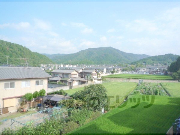 View. Scenery