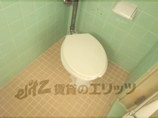Bath. Toilet