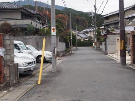 Local photos, including front road. Local (12 May 2013) Shooting