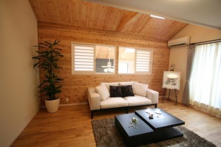 Non-living room. Our construction cases