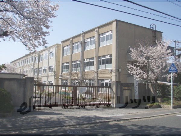 Primary school. 300m to Shugakuin second elementary school (elementary school)