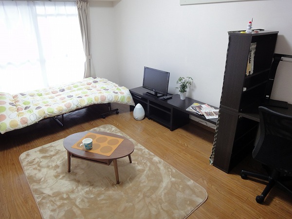 Living and room. model room