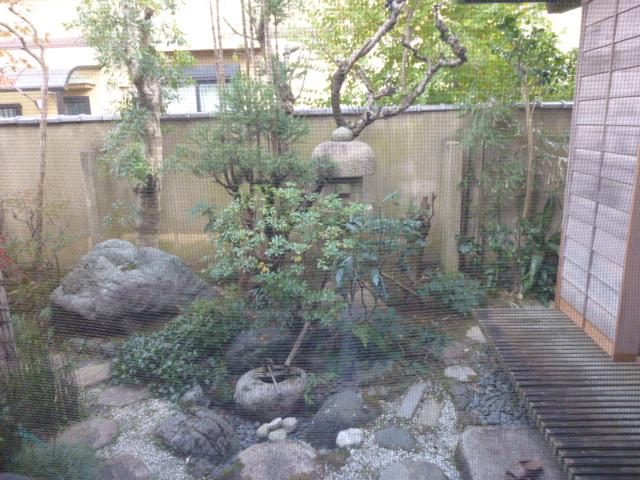 Garden. Local (11 May 2012) shooting