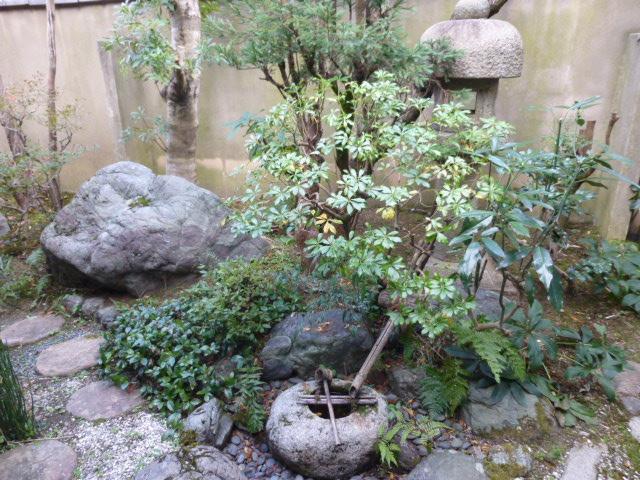 Garden. Local (11 May 2012) shooting