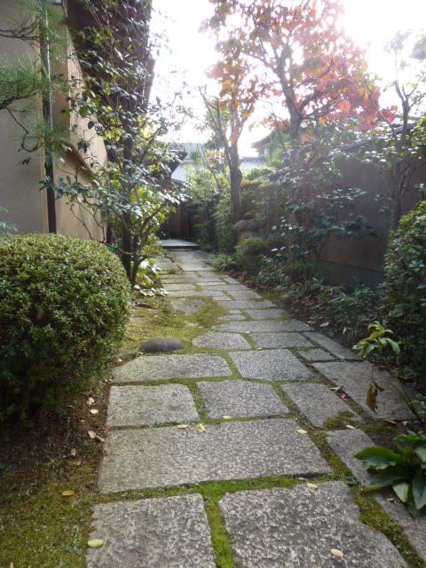 Garden. Local (11 May 2012) shooting