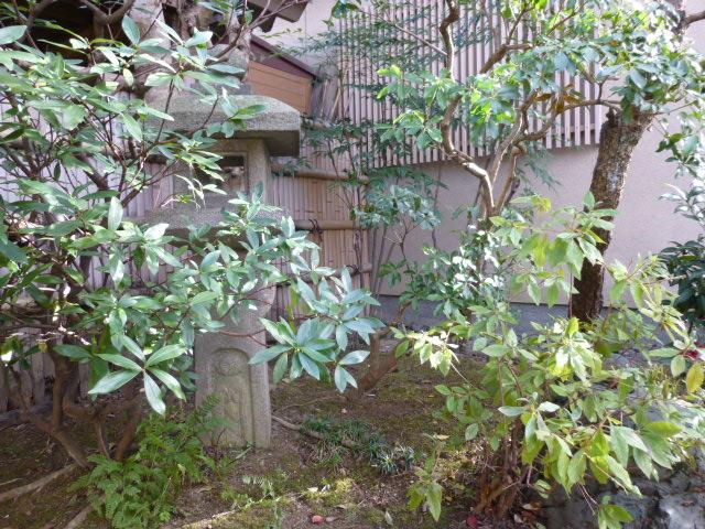 Garden. Local (11 May 2012) shooting