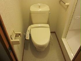 Toilet. Washlet type