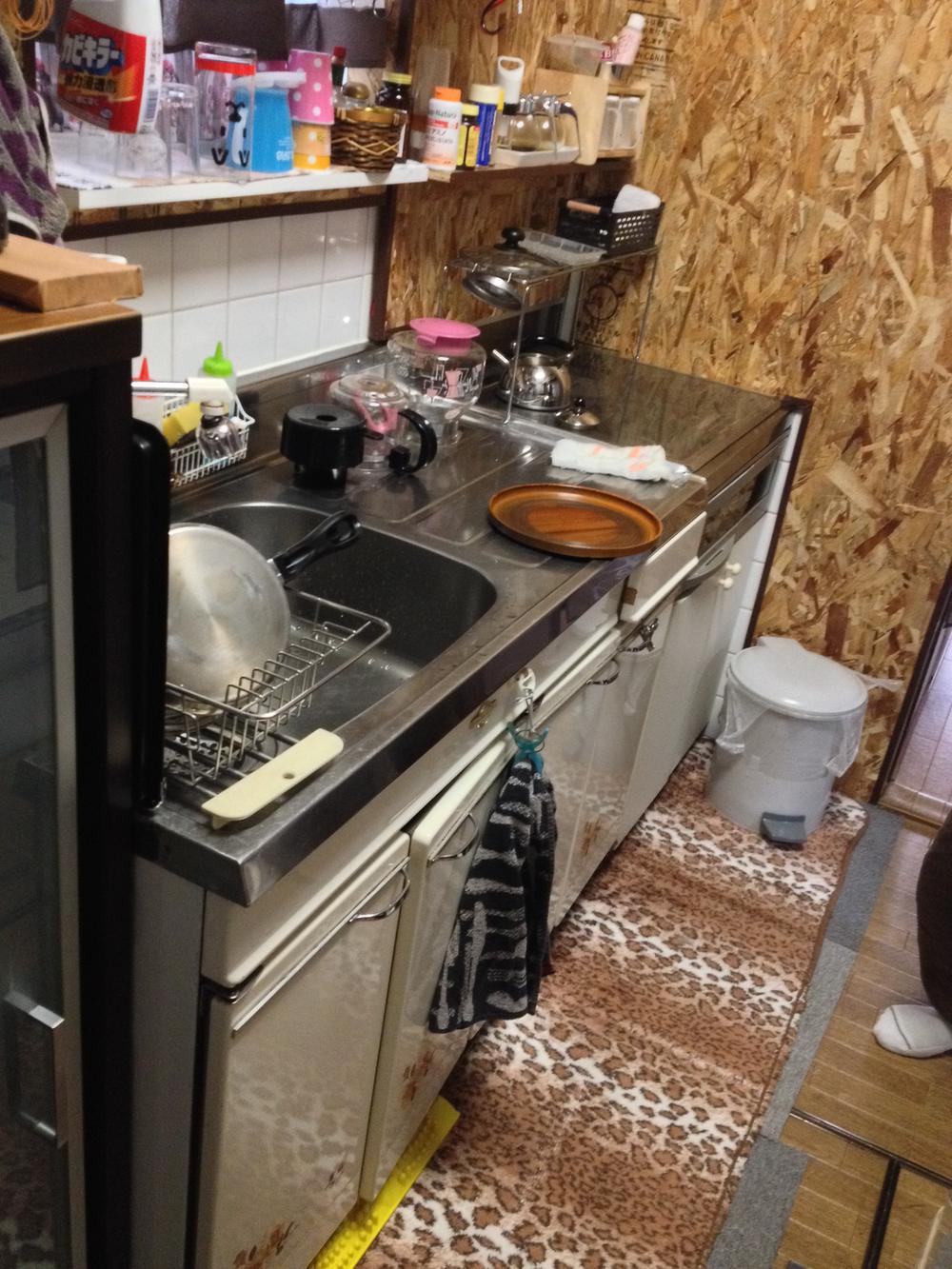 Kitchen. Indoor (10 May 2013) Shooting