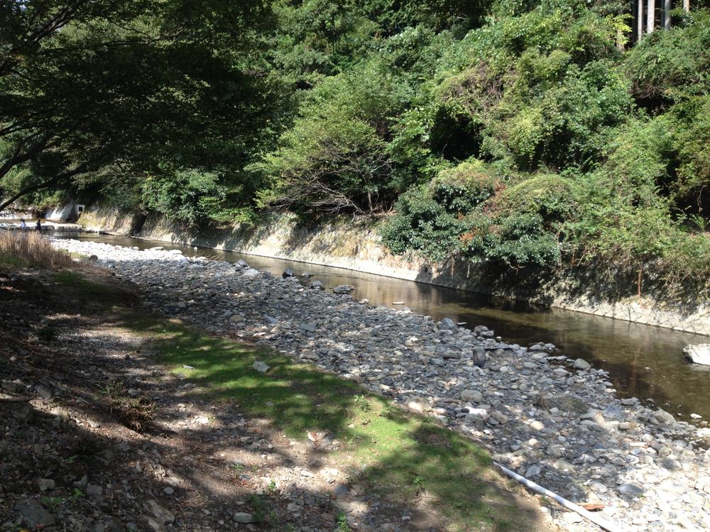 Other. Property neighborhood landscape