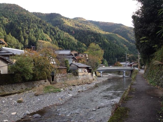 Other. Neighborhood landscape