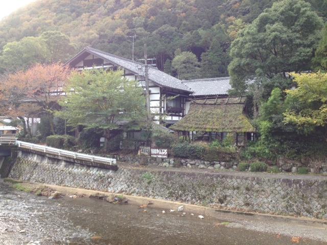 Other. Neighborhood landscape