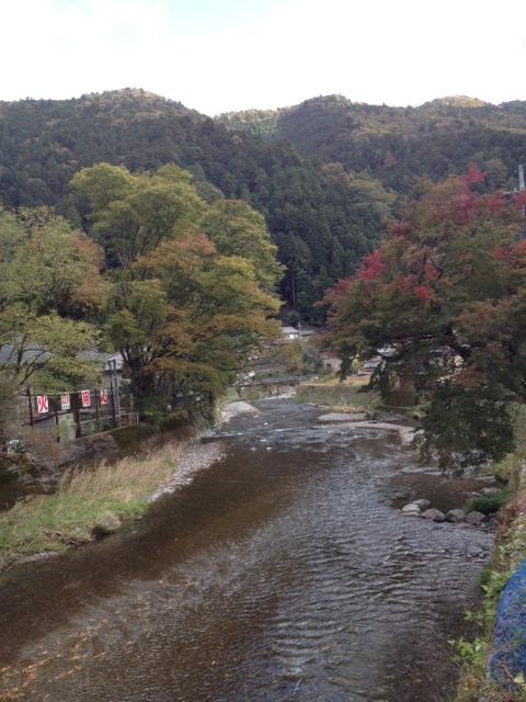 Other. Neighborhood landscape