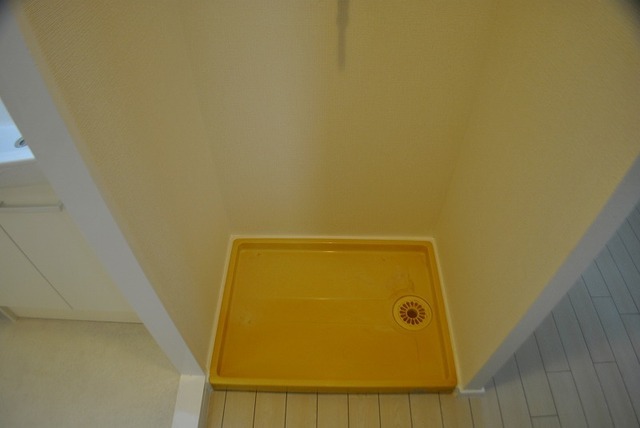 Other. Washing pan