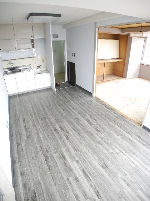 Living and room. Indoor photos will be a different type of room. (This room is under renovation)