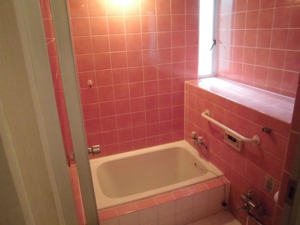 Bathroom. Indoor (10 May 2013) Shooting