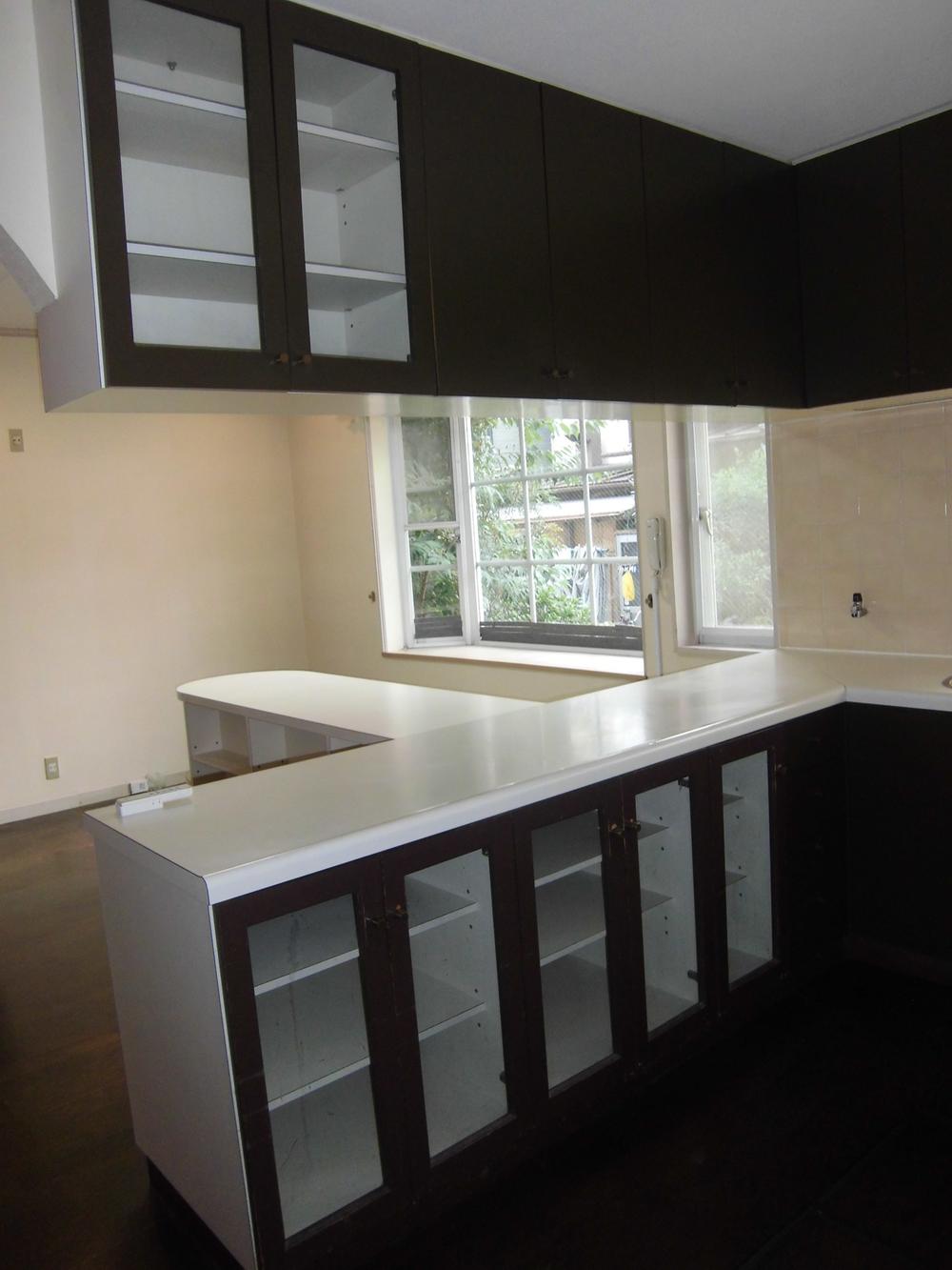 Kitchen. Indoor (10 May 2013) Shooting