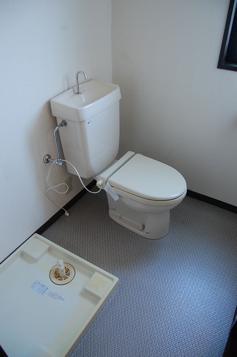 Toilet. Dressing room and toilet