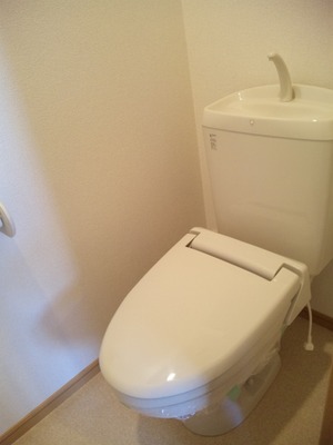 Toilet. It is warm toilet type.
