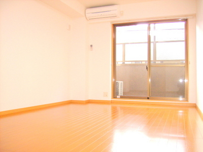Living and room. Bright room.