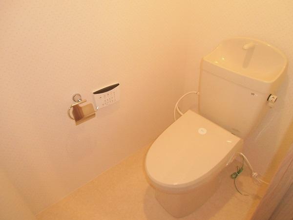 Toilet. Indoor (2013) Shooting