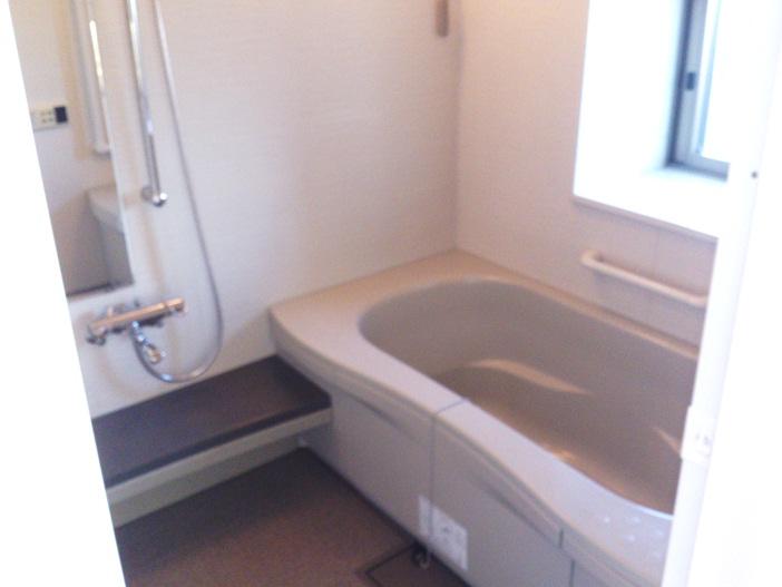 Bathroom. Indoor (July 2012) shooting