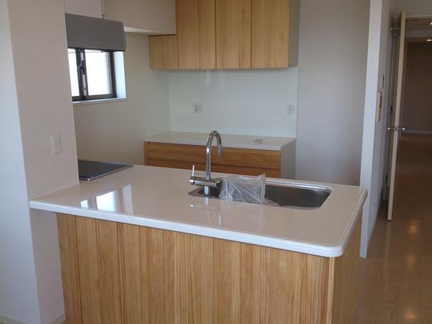 Kitchen. Indoor (July 2012) shooting