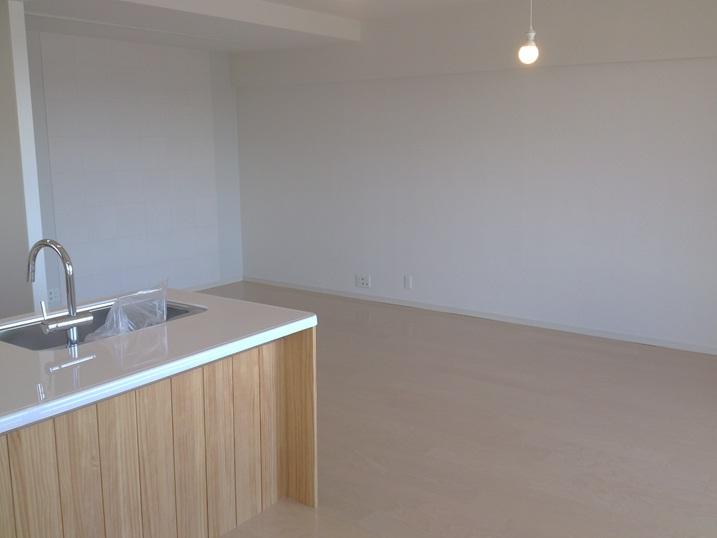 Living. Indoor (July 2012) shooting