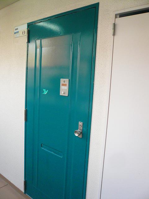 Entrance. Entrance door