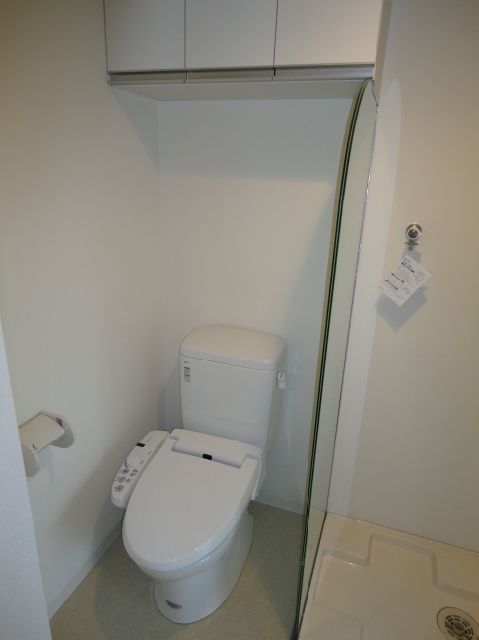 Toilet. Toilet