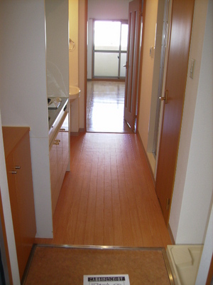Entrance. Good corridor of the outlook from the entrance to the Western-style.