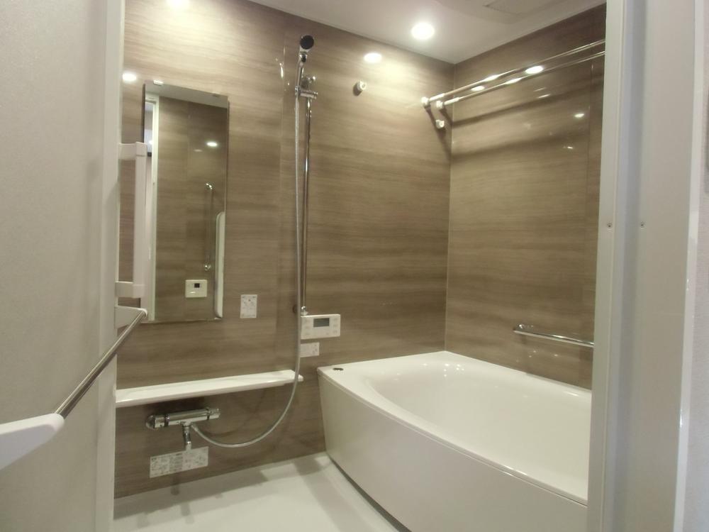 Bathroom. Indoor (10 May 2013) Shooting