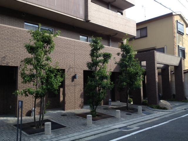 Local appearance photo. Local (11 May 2013) Shooting