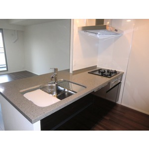 Kitchen. System kitchen