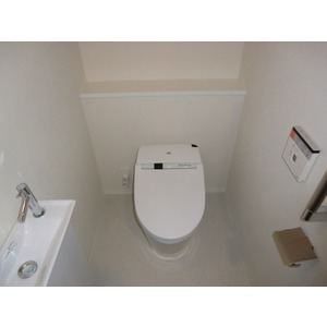 Toilet. Toilet