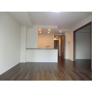 Living and room. Living
