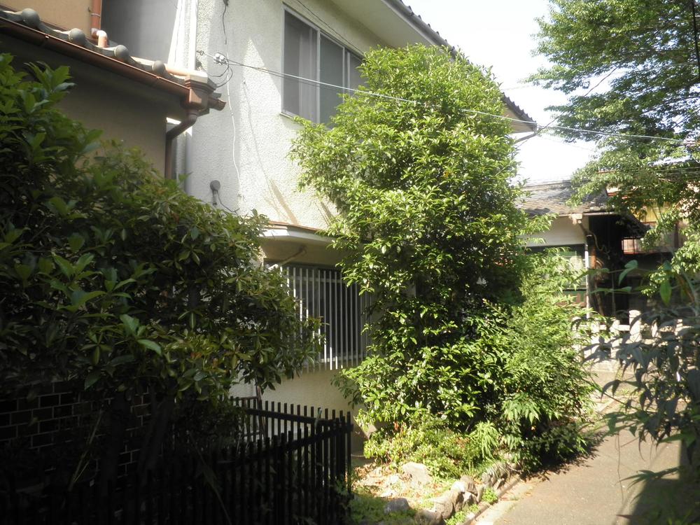 Local appearance photo. appearance