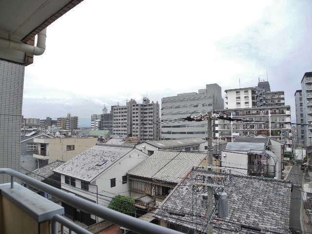View. It is north-facing, but is a bright room