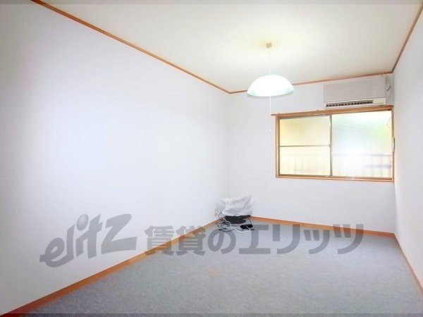 Living and room. It is the carpet of the room.