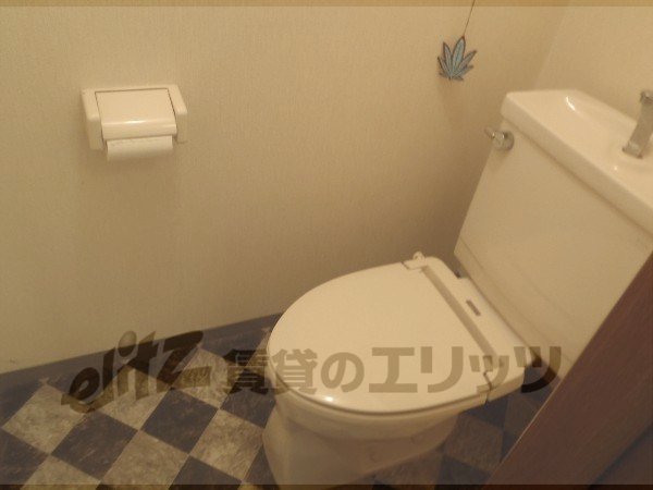 Toilet. Convenience in separate