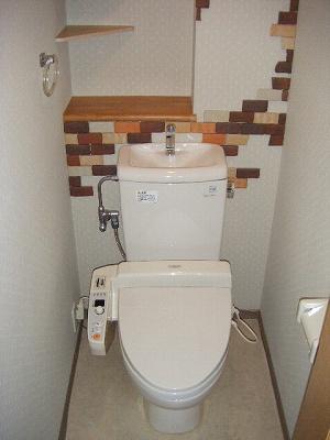 Toilet. Indoor (April 2013) Shooting